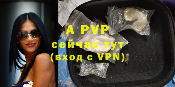 дживик Касимов