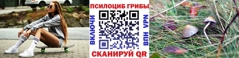 Галлюциногенные грибы Magic Shrooms  Купить где  Гороховец 